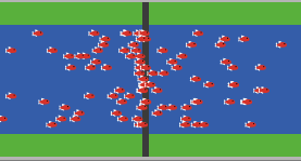 Salmon migration in the Snake River preview image