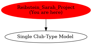 Graph of models related to 'Reibstein_Sarah_Project' 