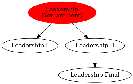 Graph of models related to 'Leadership' 