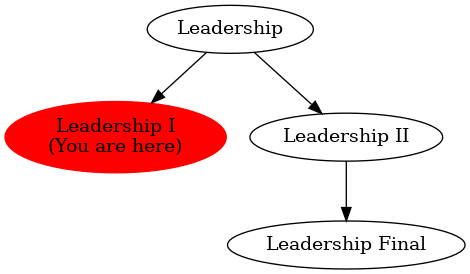 Graph of models related to 'Leadership I' 