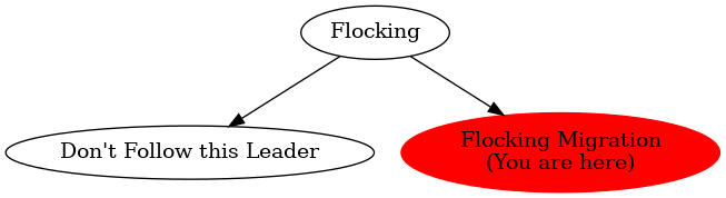 Graph of models related to 'Flocking Migration' 