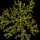 Screen_shot_2021-10-29_at_8.34.46_am